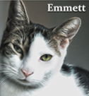 Emmett