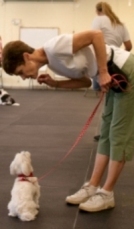 training